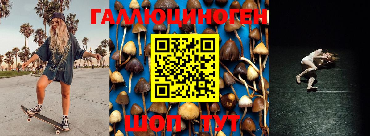 Псилоцибиновые грибы мицелий  Вход с VPN  Псилоцибиновые грибы ЛСД  Уварово 
